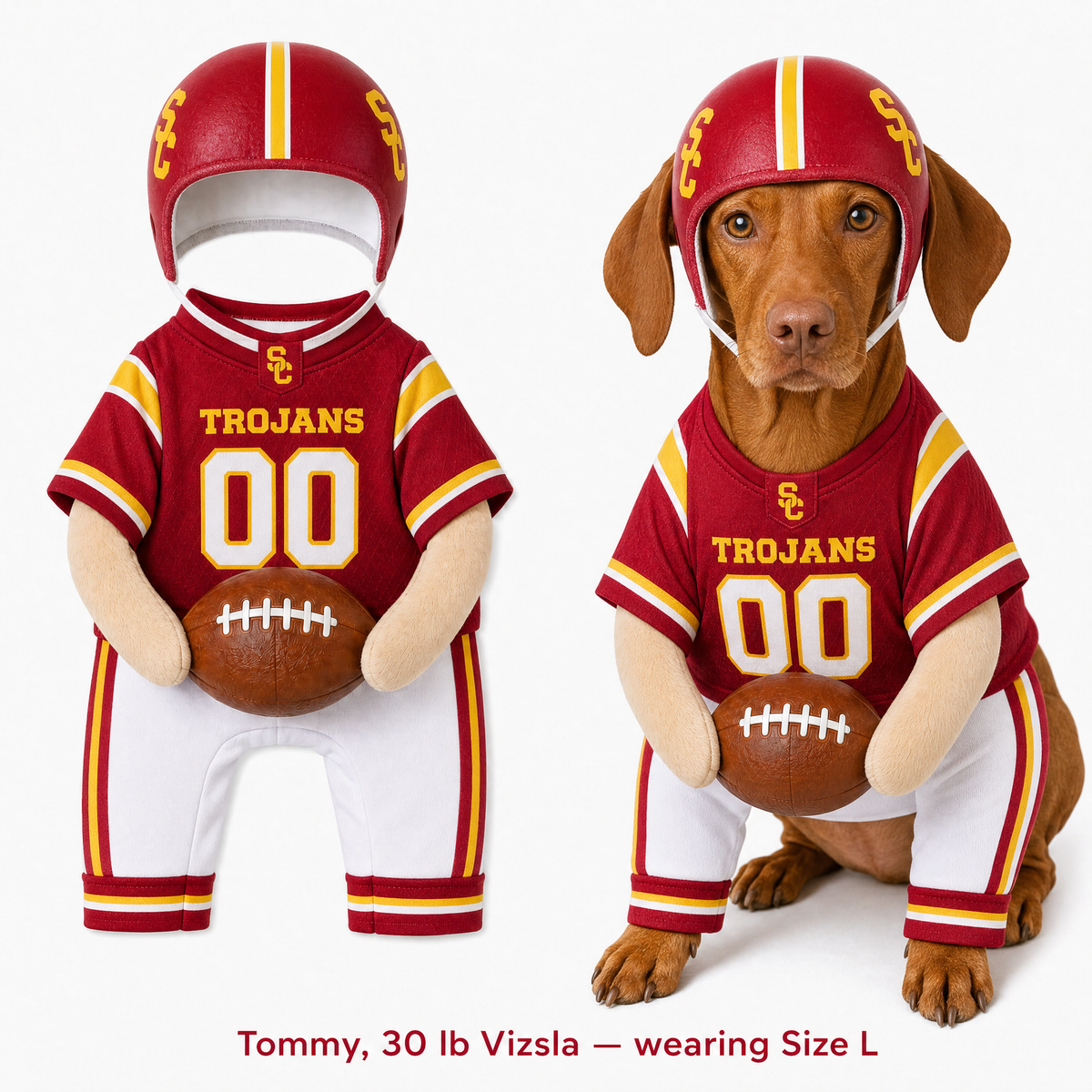 College Football Dog Costume™