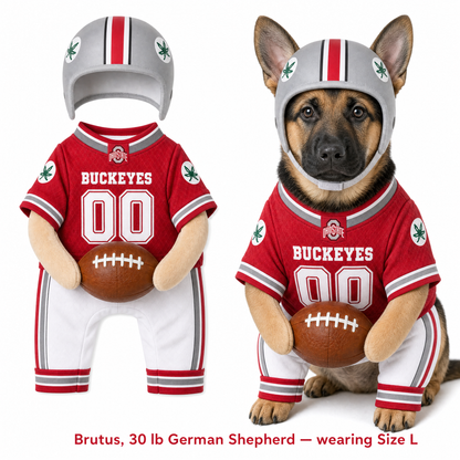 College Football Dog Costume™