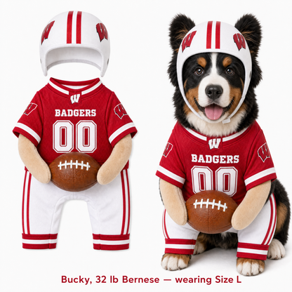 College Football Dog Costume™