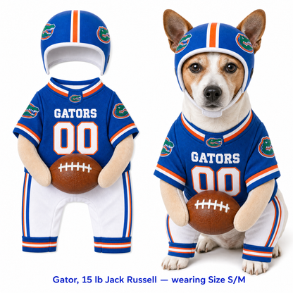 College Football Dog Costume™