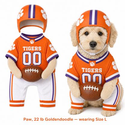 College Football Dog Costume™