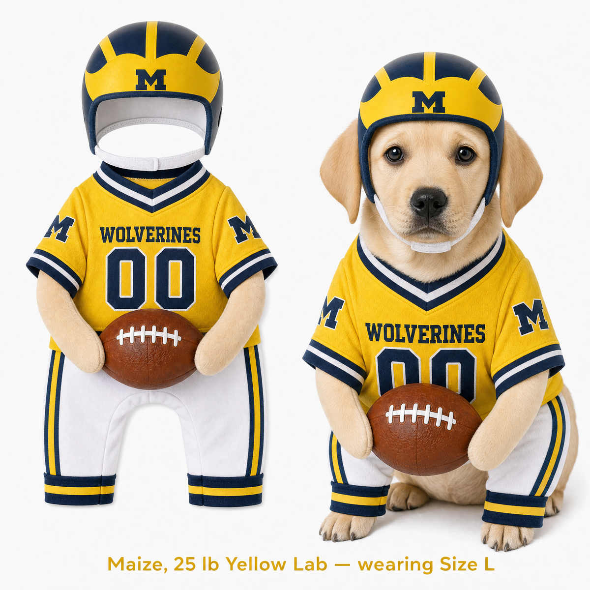 College Football Dog Costume™