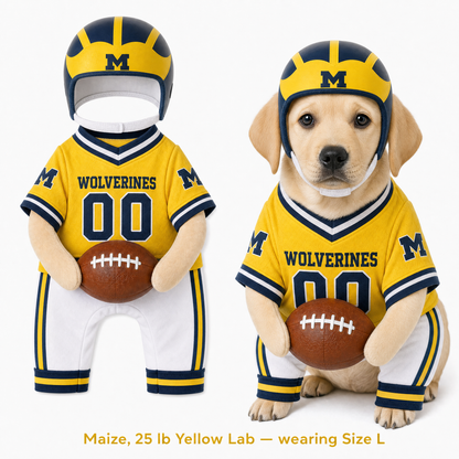College Football Dog Costume™