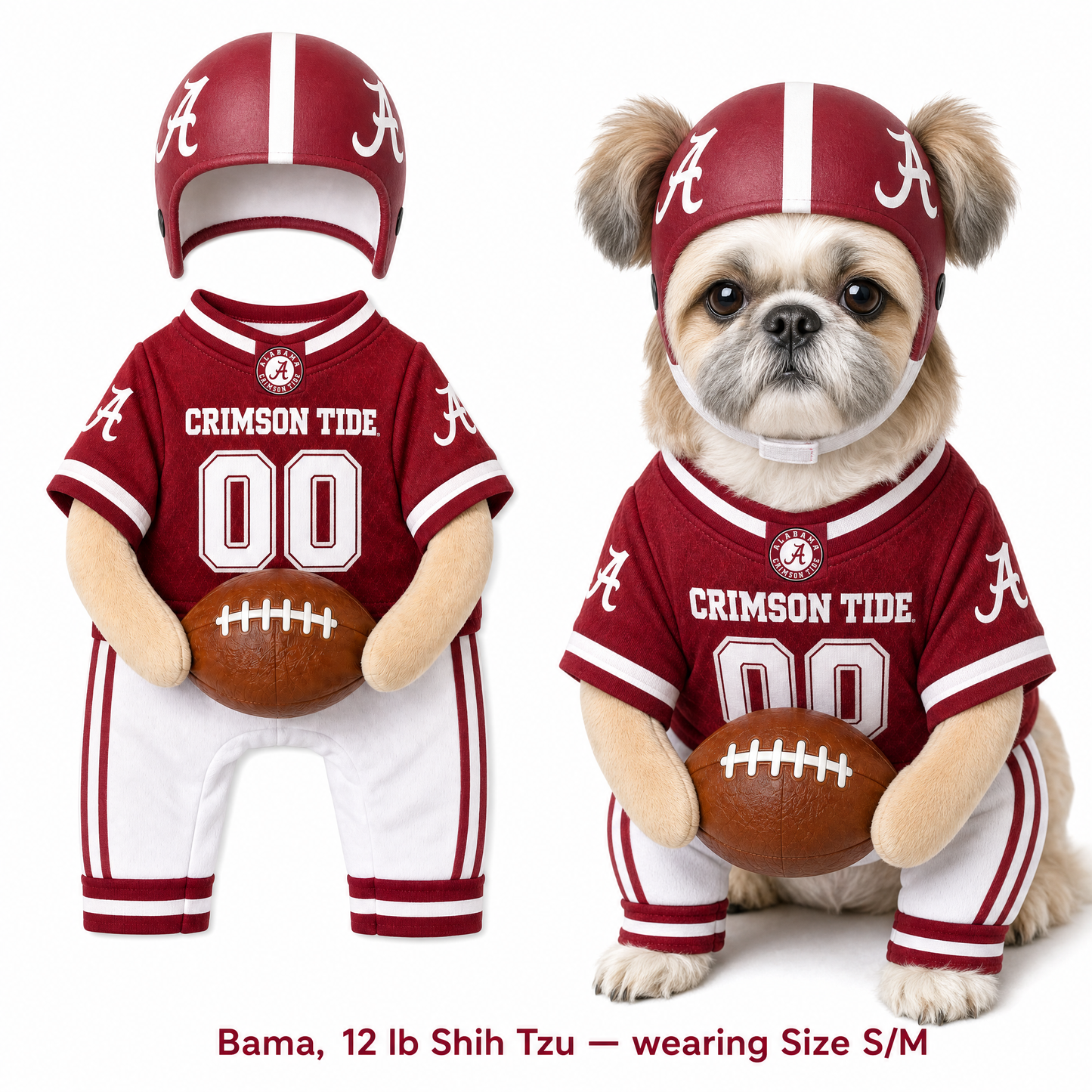 College Football Dog Costume™