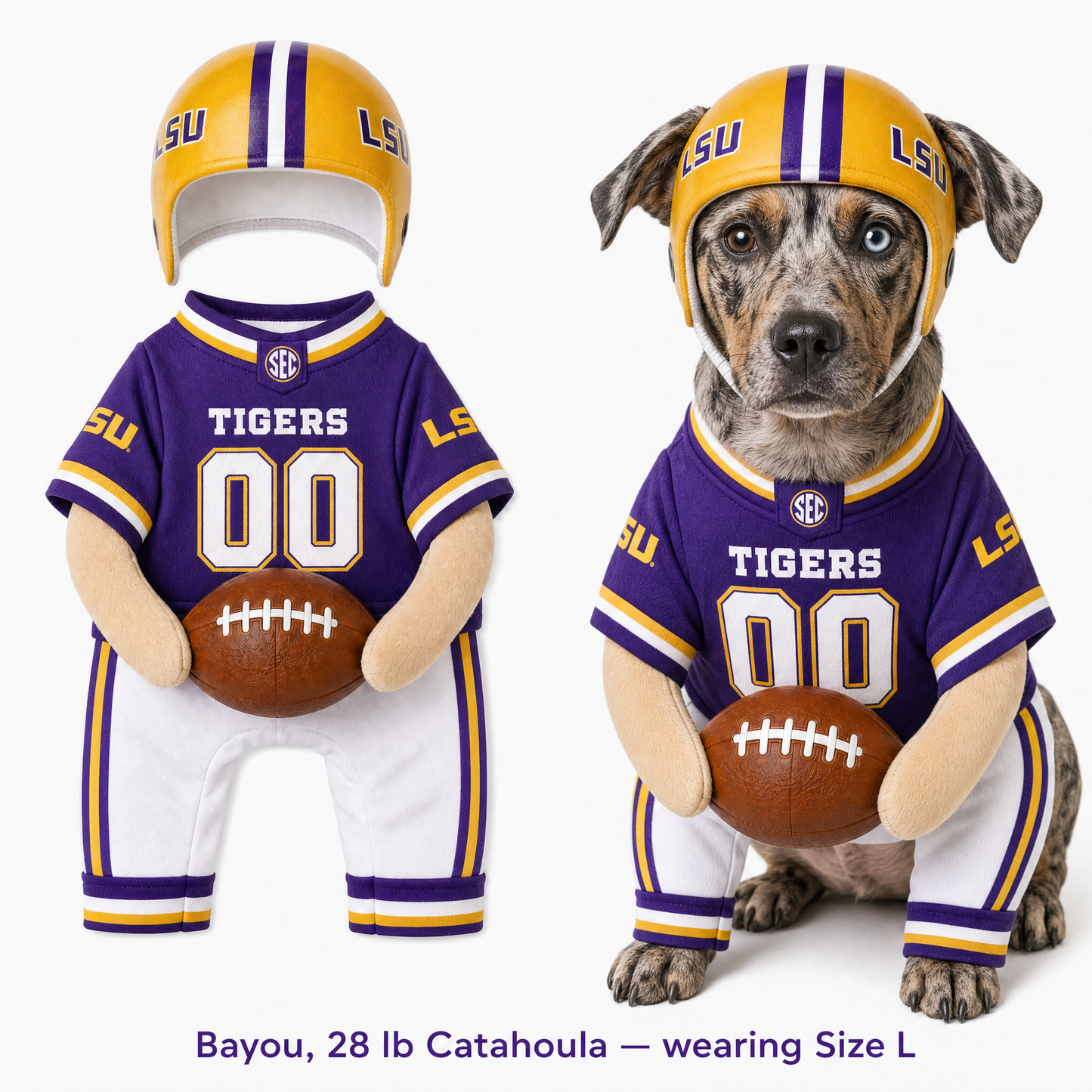 College Football Dog Costume™