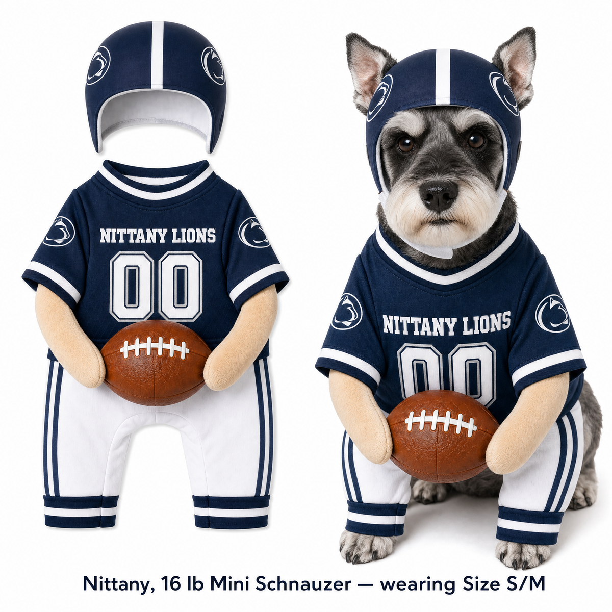College Football Dog Costume™