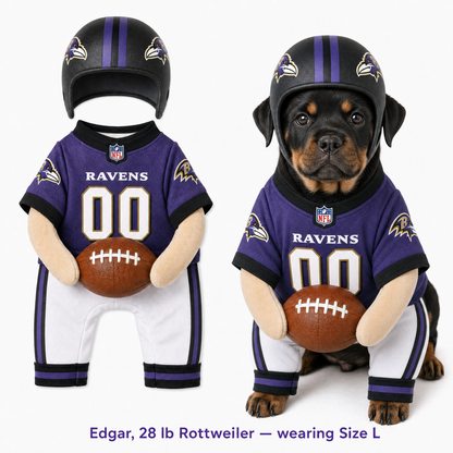 NFL Dog Football Costume™