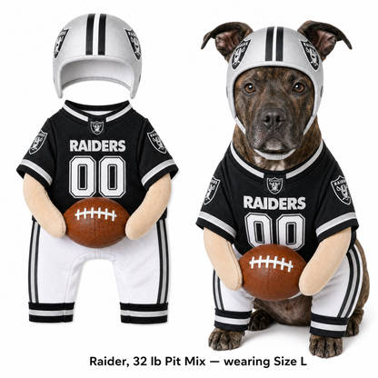 NFL Dog Football Costume™
