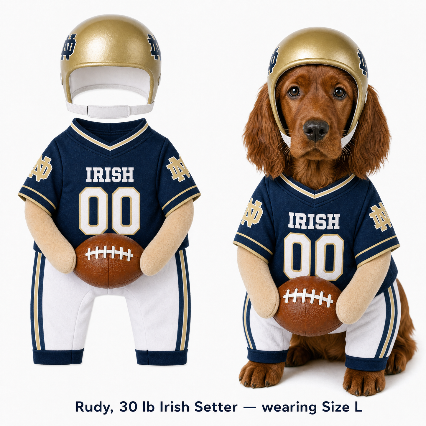 College Football Dog Costume™