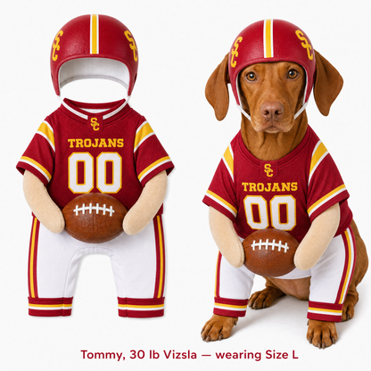 College Football Dog Costume™